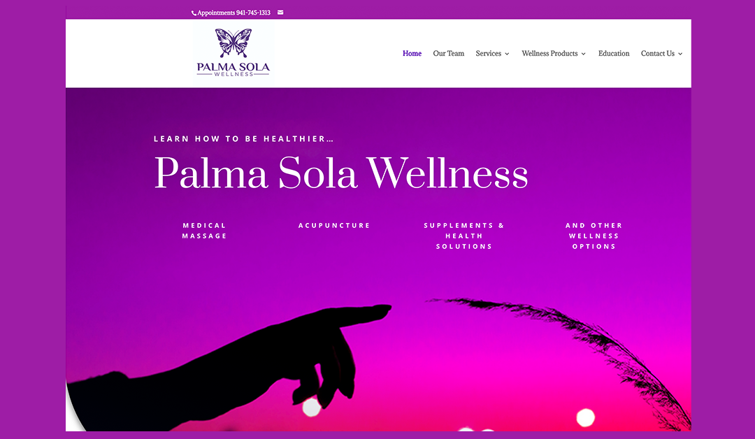 Introducing the New Palma Sola Wellness Logo & Website!