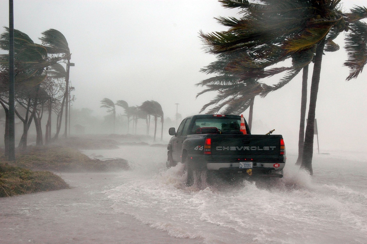 Post-Hurricane Health